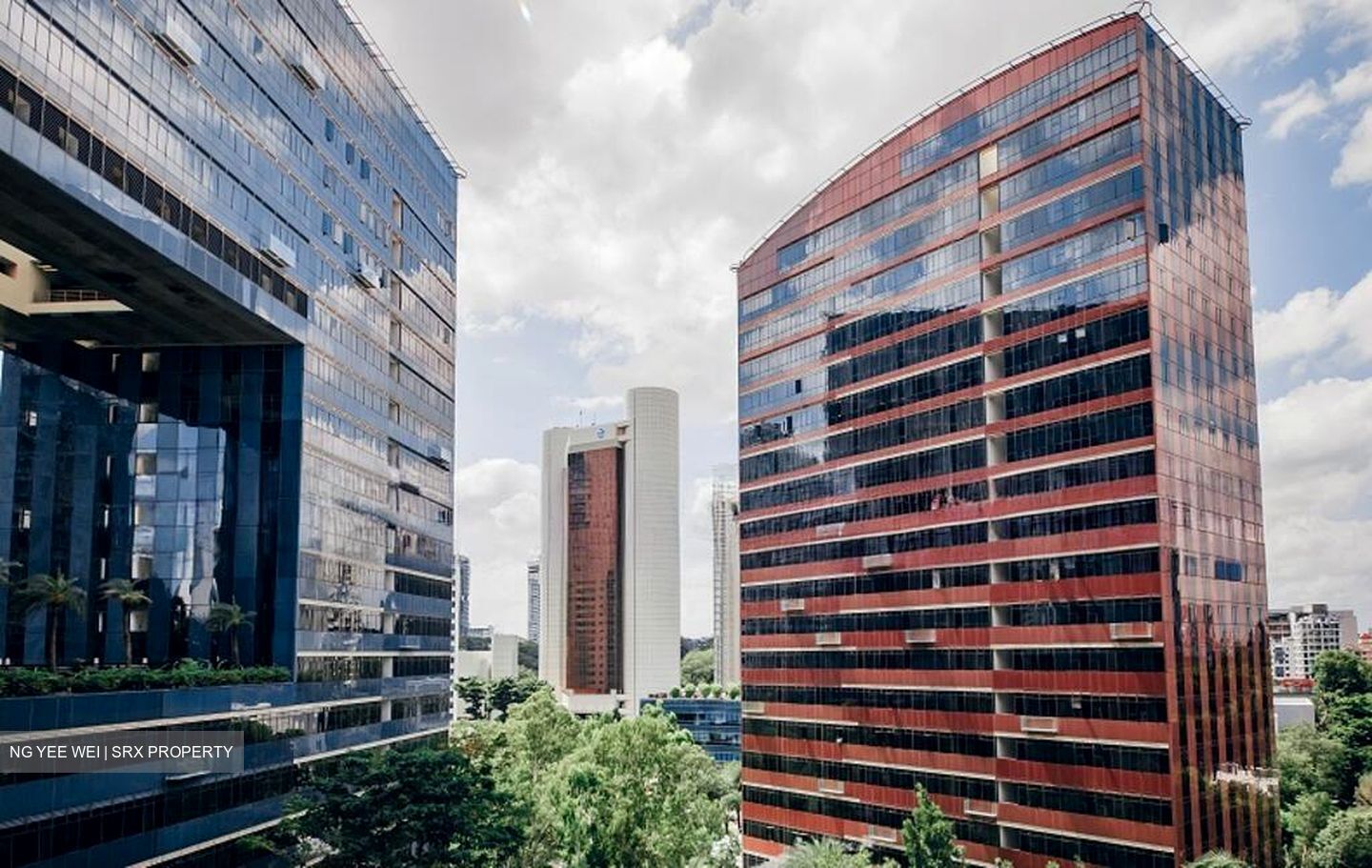 Orchard Scotts (D9), Condominium #546618481